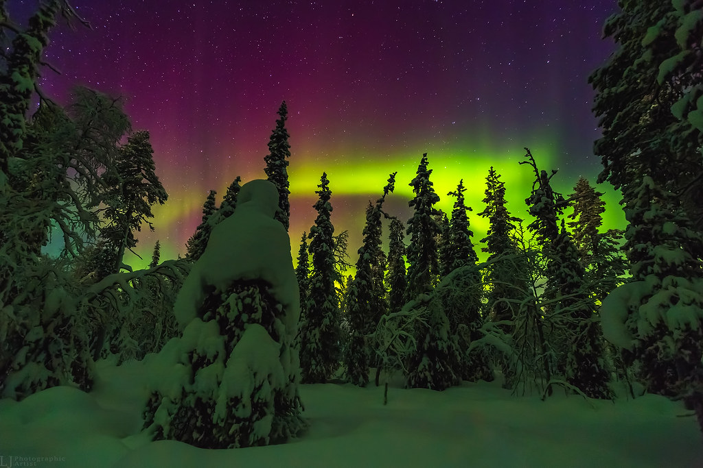 Finnish Lapland - Northern Lights